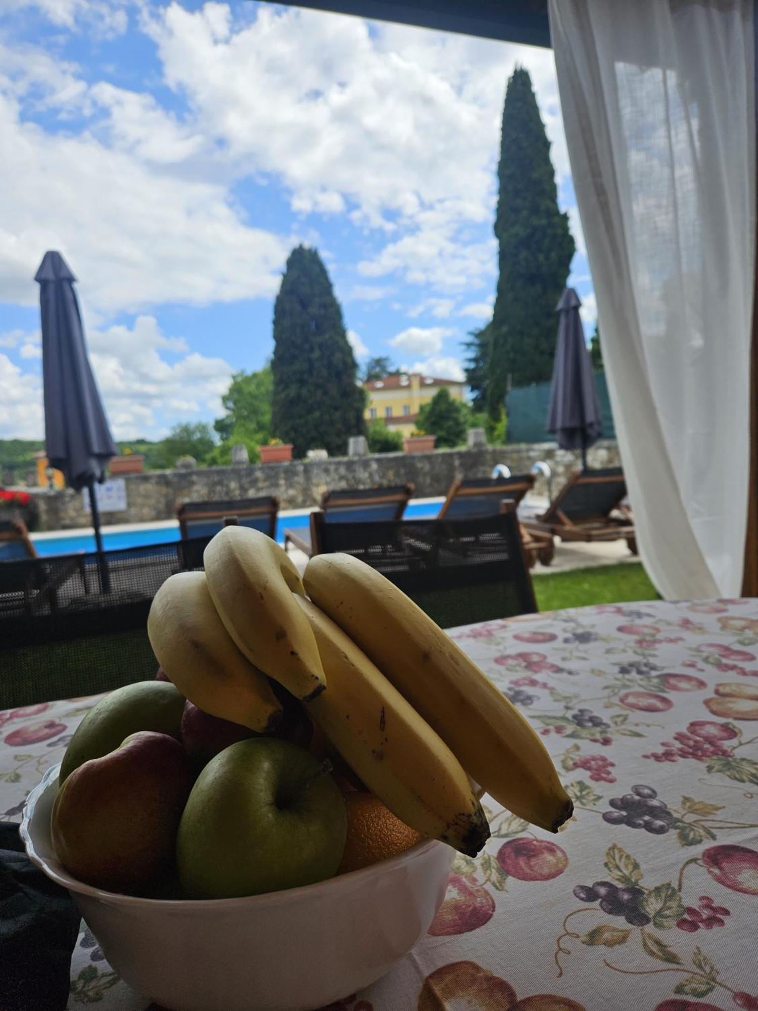 Villa Letizia Oprtalj Екстериор снимка