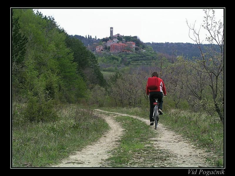 Villa Letizia Oprtalj Стая снимка