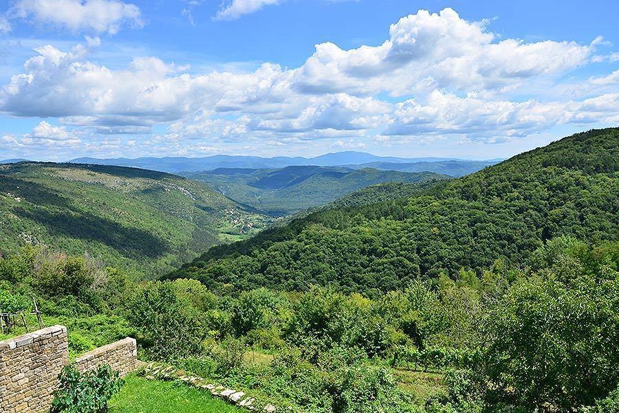 Villa Letizia Oprtalj Стая снимка